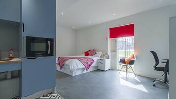 Deluxe Studio, 1 Large Single Bed, City View | Individually decorated, individually furnished, desk, free WiFi