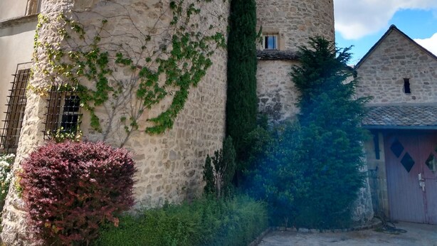 Uma torre de pedra histórica com turrelas e janela, rodeada por vegetação e um espaço pavimentado.