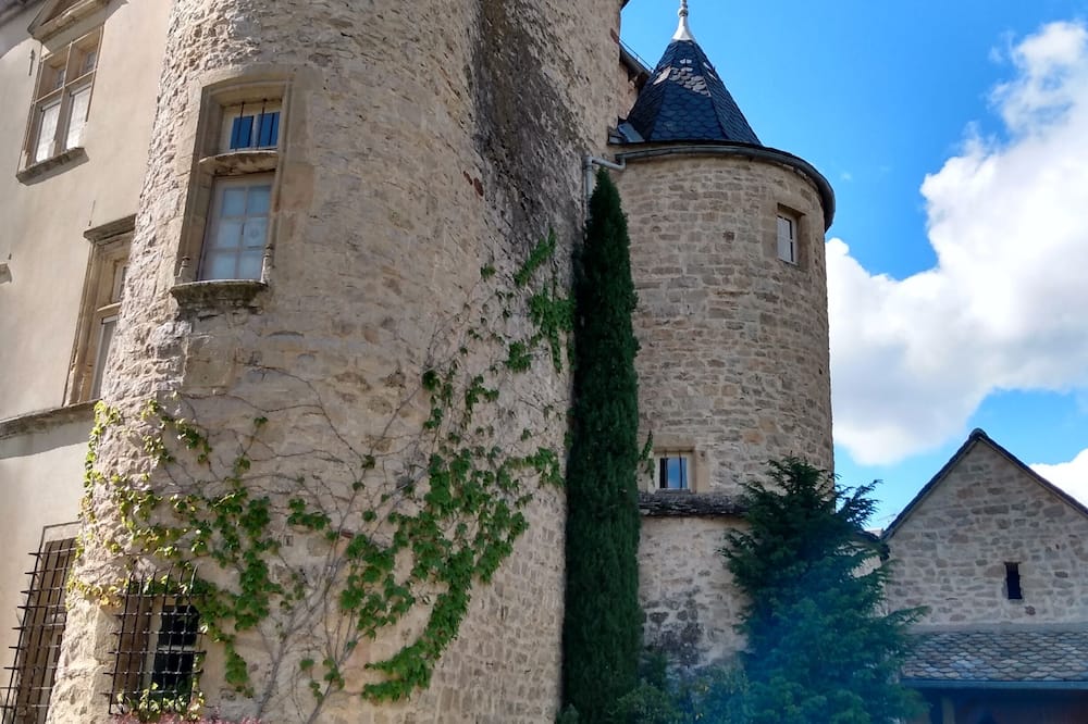 Château de Balsac - Salles-la-Source