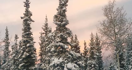 Aspen Retreat-Ein rustikales Versteck