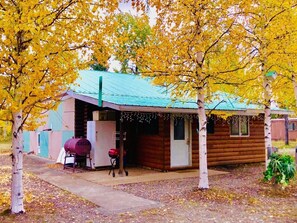 Exterior - Aspen Retreat-An Alaskan Gem; A wonderful indoor hot tub, welcome snacks, & more (Anderson)