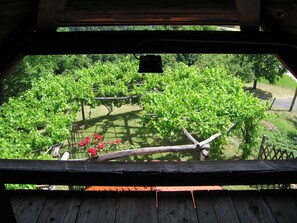 Balcony - Holiday House Carovina (Cirkulane)