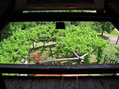 Holiday House Carovina