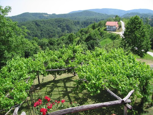 Holiday House Carovina