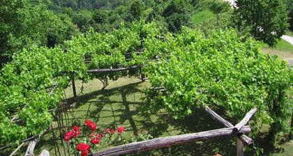 Holiday House Carovina