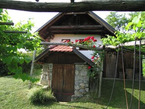Exterior - Holiday House Carovina (Cirkulane)