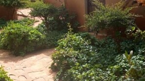 Property grounds - Soleil D' Espoir (Niaga)
