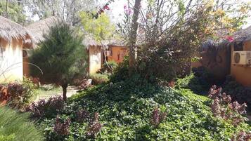 Jardín