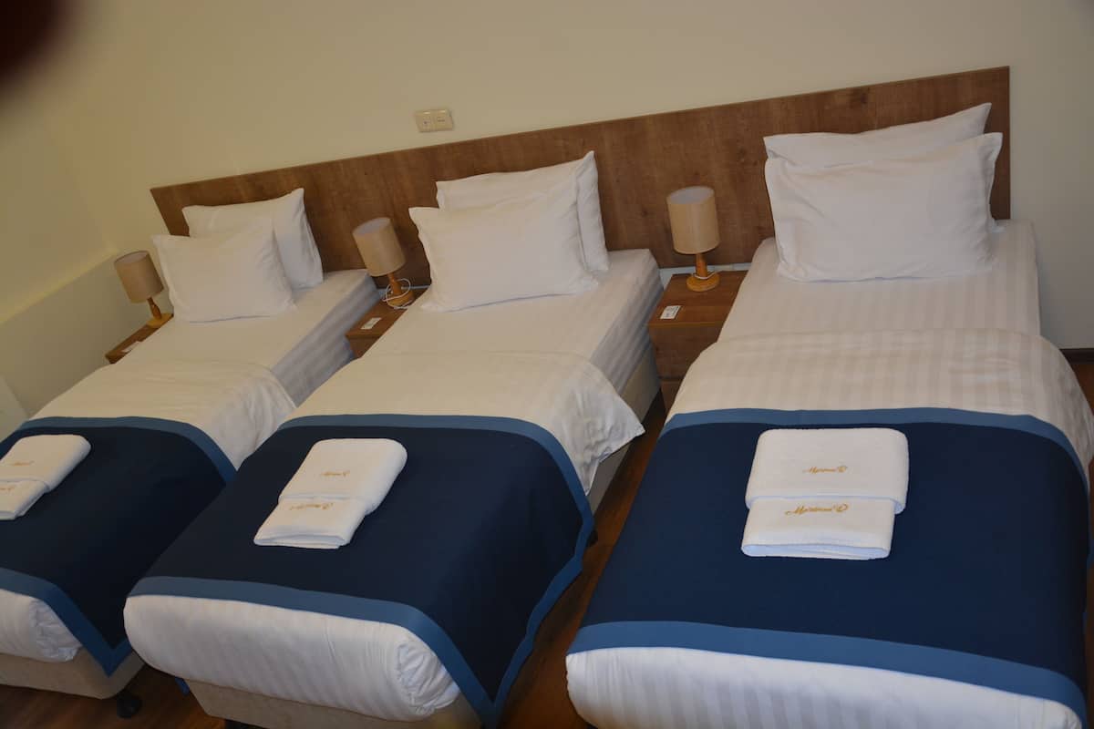 Standard Triple Room | Iron/ironing board, free WiFi, bed sheets