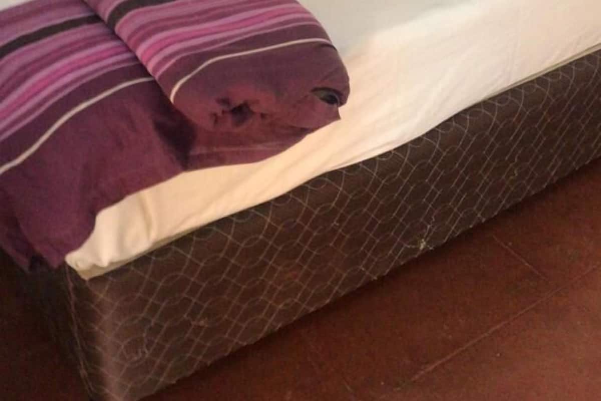 Habitación básica doble