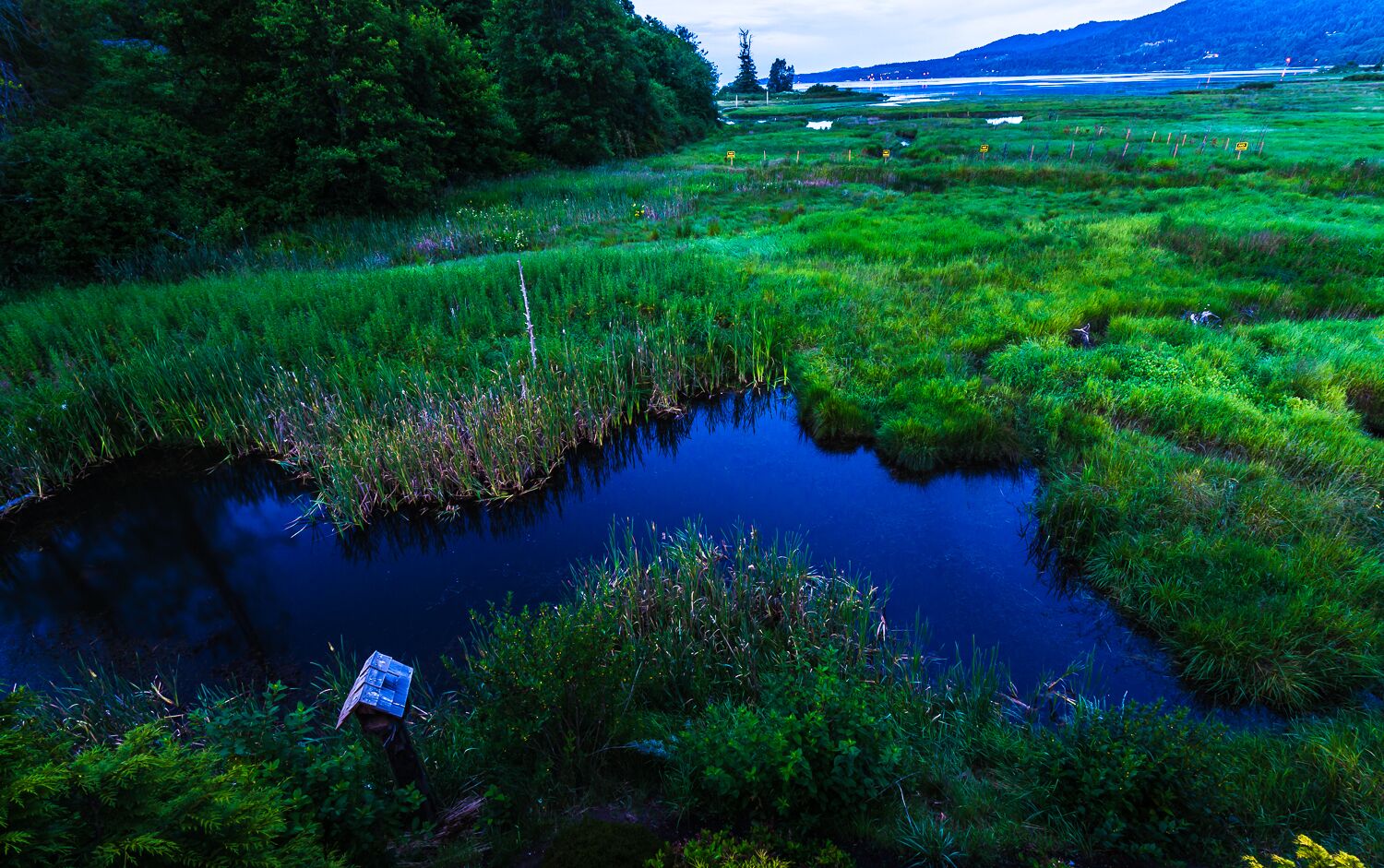 Un paysage naturel composé d’une étendue d’eau entourée d’une végétation luxuriante, avec une vue lointaine sur une région vallonnée.