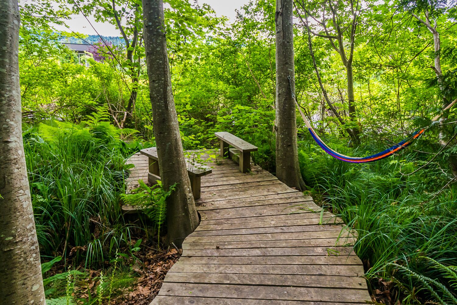 Enceinte de l’hébergement