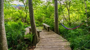 A wooden pathway with benches and a hammock in a lush green forest setting. - The Lagoon Suite at The Estuary Inn (Nanoose Bay)