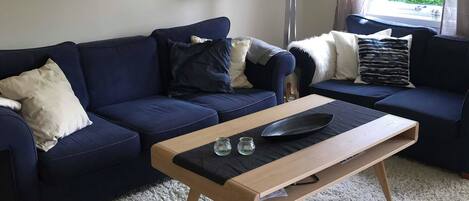 A living room with a dark blue sofa, a wooden coffee table, and a white shaggy rug. There are two framed pictures on the wall and a floor lamp near the window.