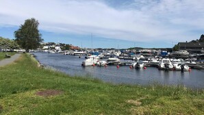 A marina with boats docked along the water's edge, a grassy path, and buildings in the background.