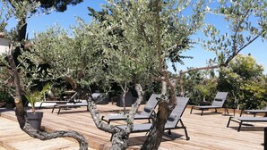 Terraza de madera con sillones de descanso y un árbol de ramas retorcidas.