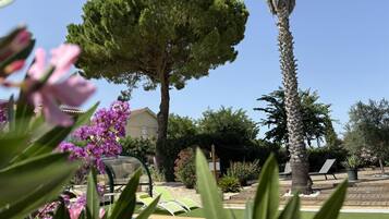 Area piscina con vista libera su una casa, poltrone prendisole e una palma.
