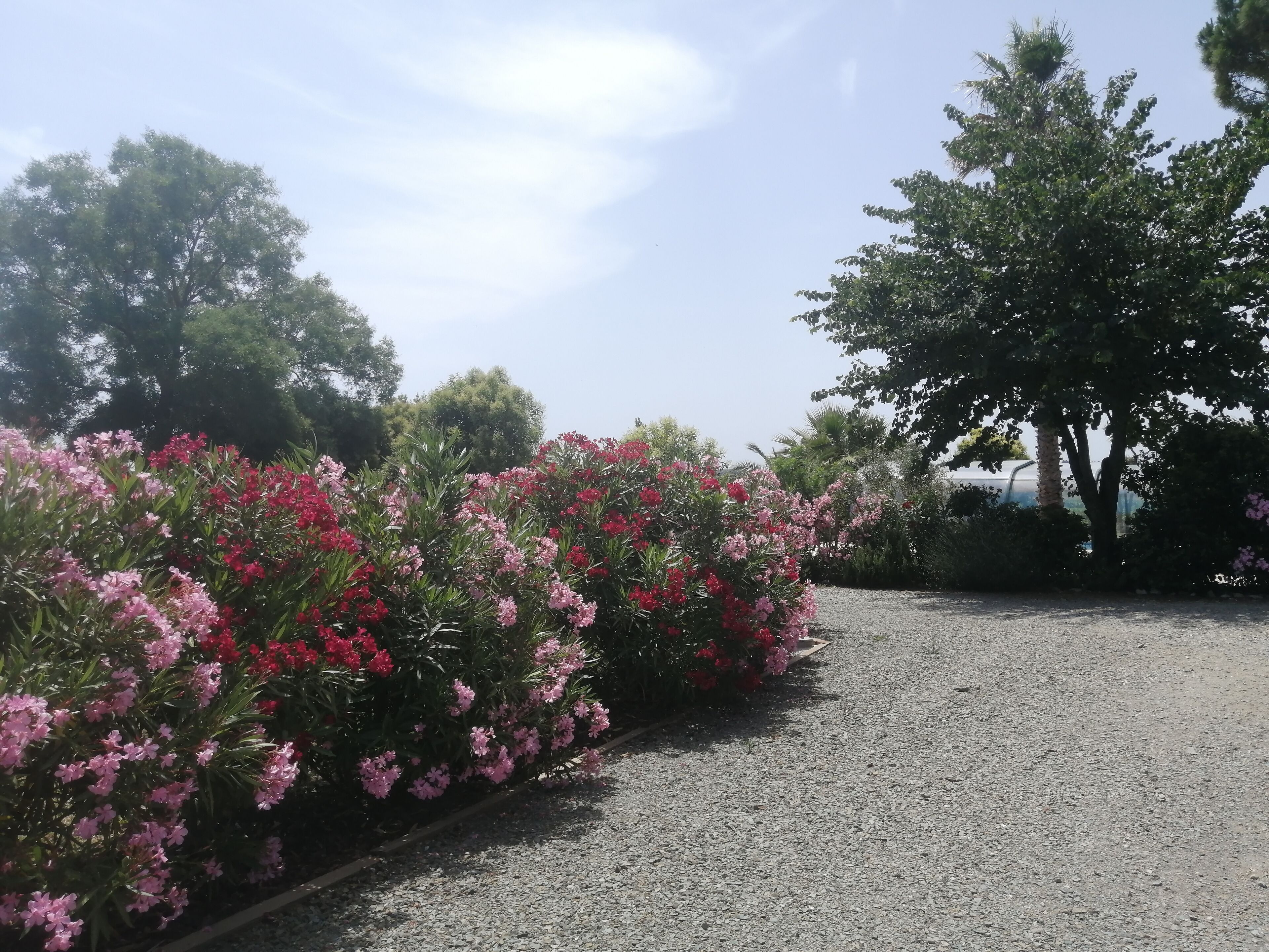Foto - A l'Orée Des Vignes