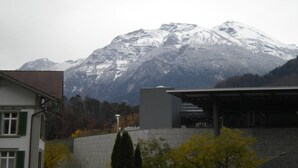 Landuitzicht vanuit accommodatie