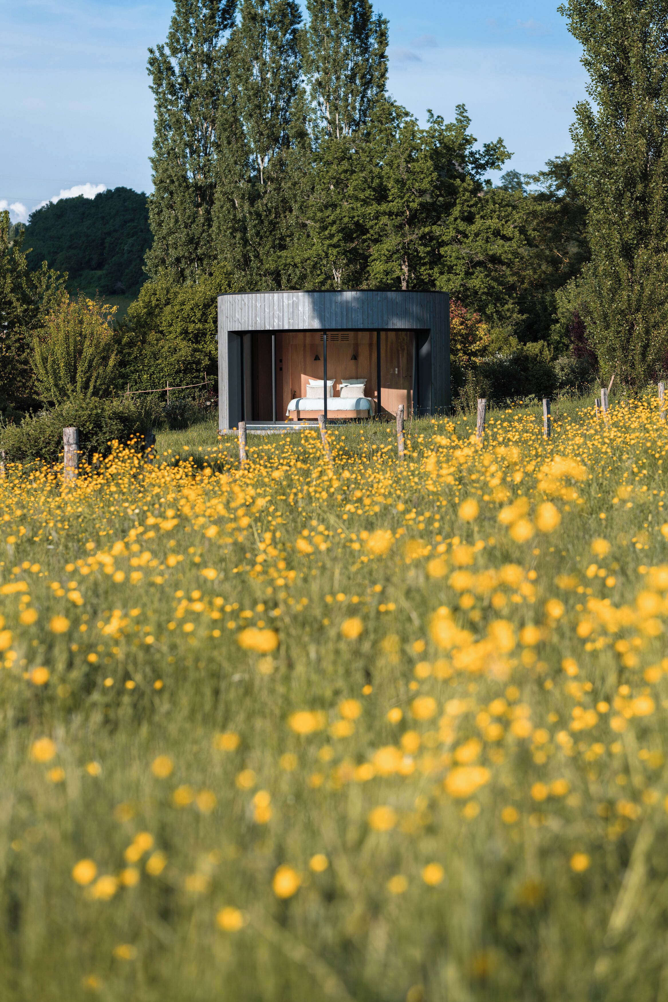 Una cabaña moderna y minimalista en un campo de flores amarillas, con vistas al bosque.