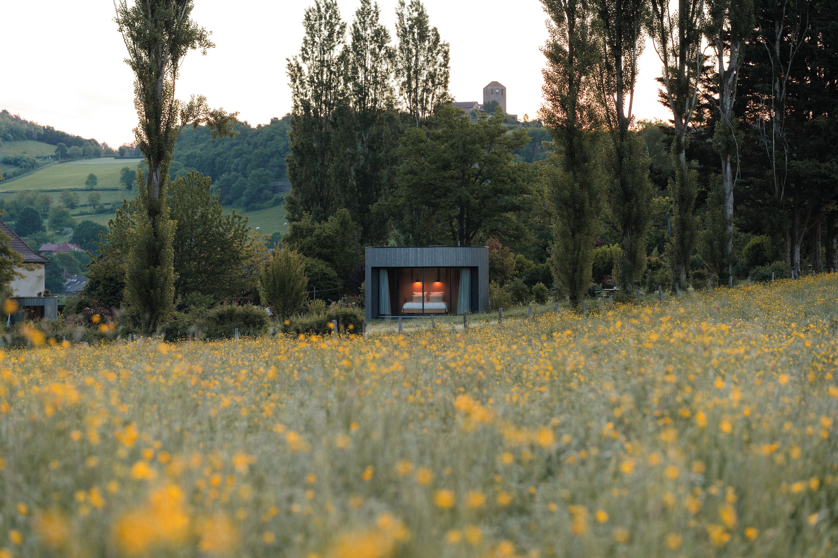 A remote cabin with a bed, surrounded by a field of yellow flowers and tall trees.