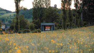 A remote cabin with a bed, surrounded by a field of yellow flowers and tall trees.