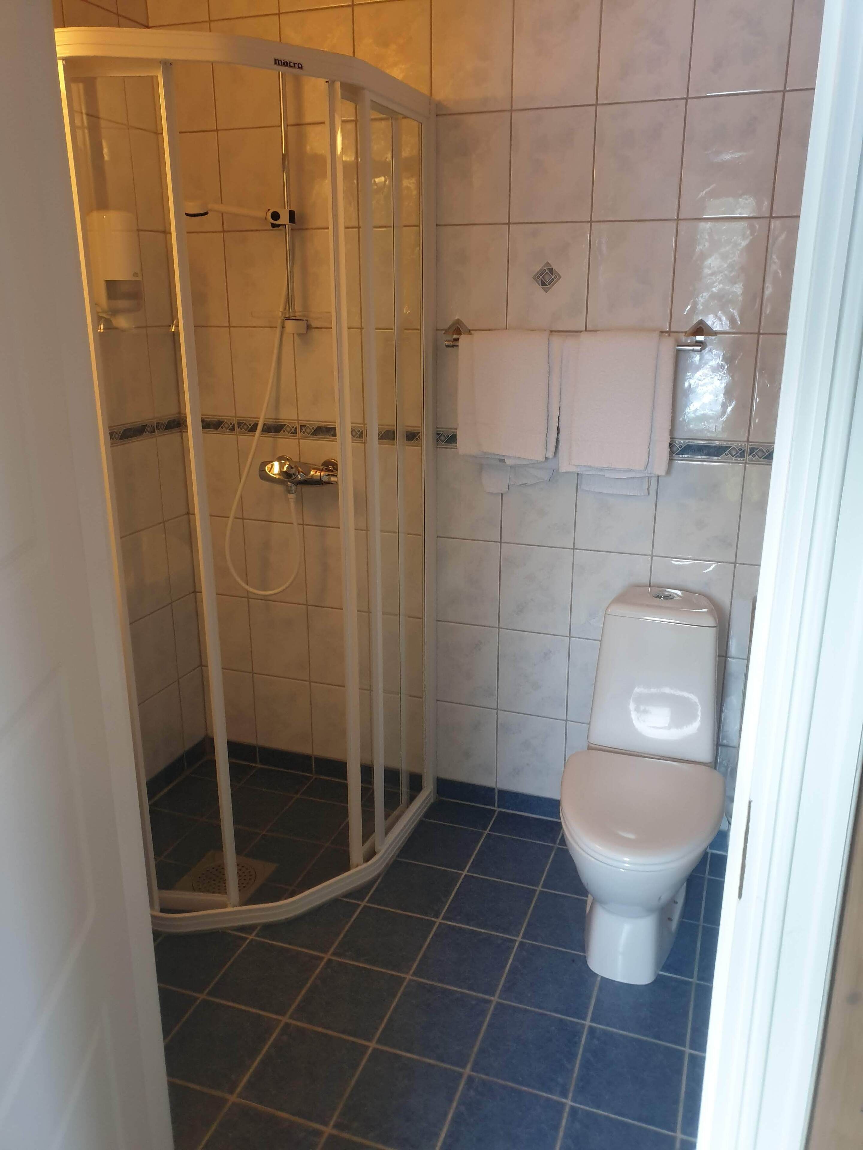 A bathroom with a glass-enclosed shower, a toilet, and tiled walls.