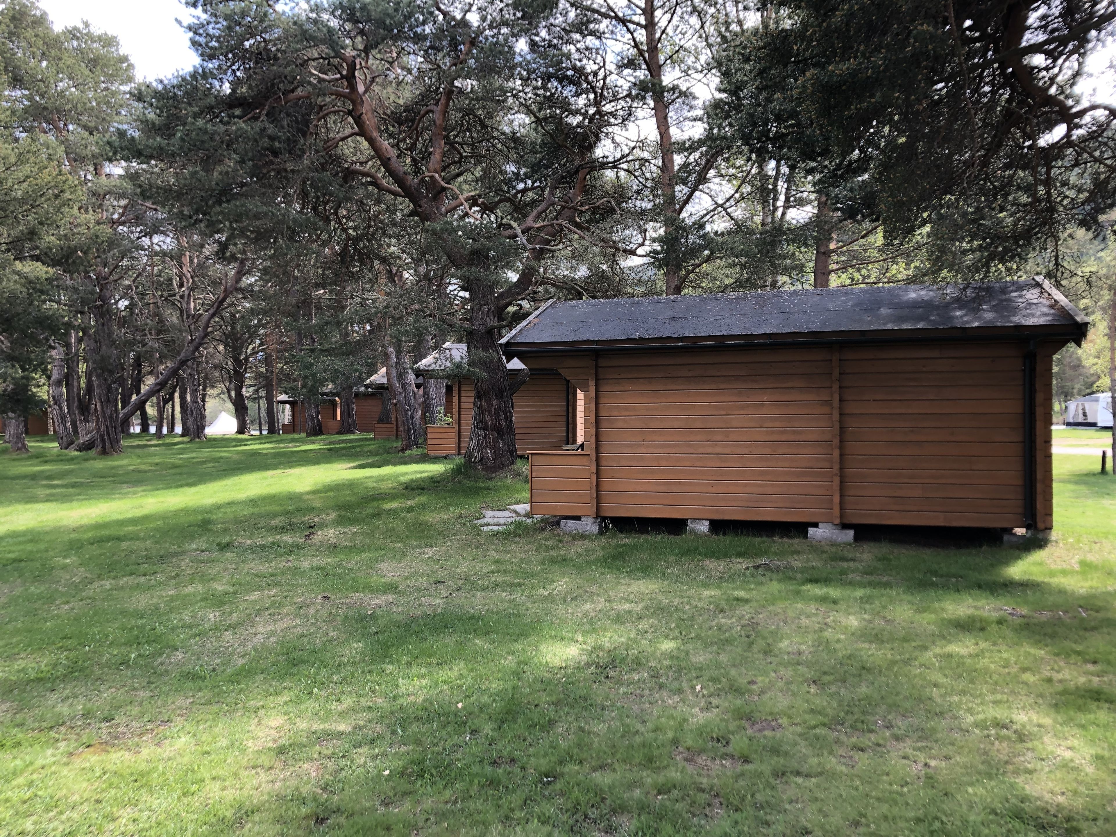 A row of wooden cabins with sloped roofs, surrounded by tall trees and grassy areas.