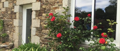 A stone building with a white door and windows, surrounded by green plants and red roses.