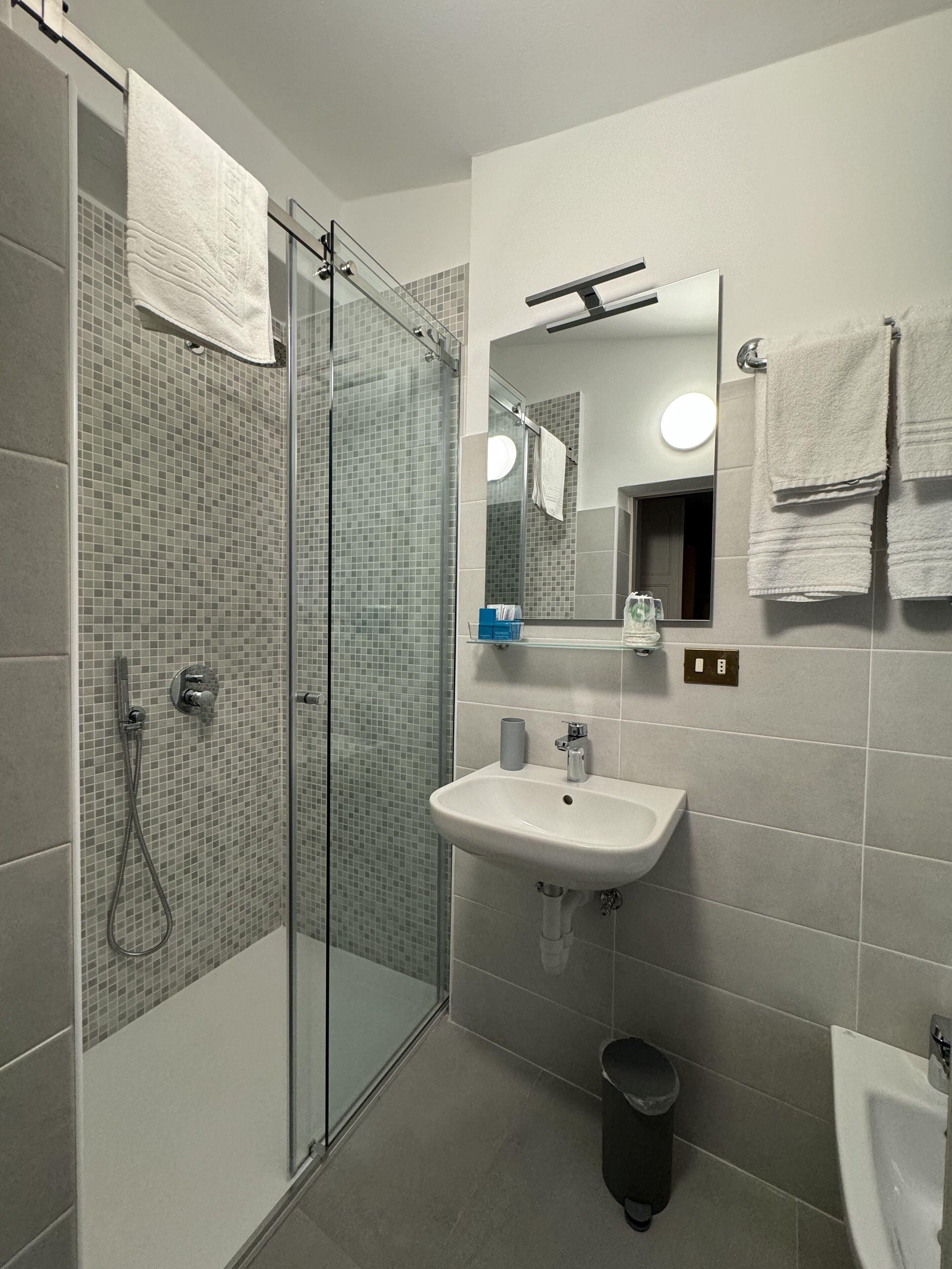 A modern bathroom with a glass shower enclosure, a sink, a mirror, and a bidet.