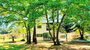 A house surrounded by trees in a sunny outdoor setting. - La maison des vacances - Vourvourou Sithonia (Vourvourou)