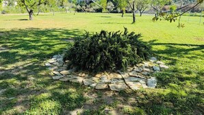 A garden with a stone border and a small tree in the center. - La maison des vacances - Vourvourou Sithonia (Vourvourou)