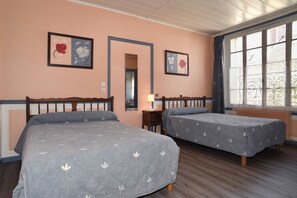 Family Room | Individually decorated, individually furnished, iron/ironing board - Hotel de la Gare (Cosne-Cours-sur-Loire)