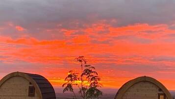 Tent | Terrace/patio