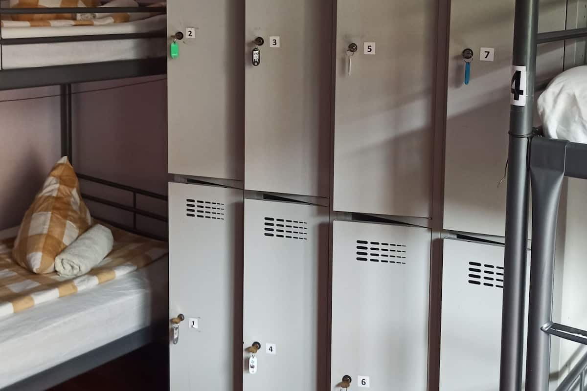 Basic Shared Dormitory, Mixed Dorm (#5) | Iron/ironing board, free WiFi, bed sheets