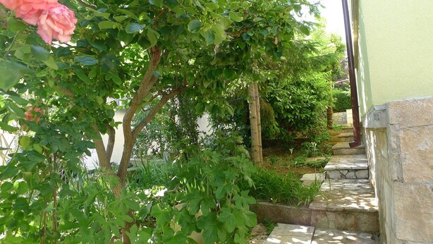 Unclassified image, 1 of 12, button - Holiday Apartment for 4 Persons With one Bedroom Near the Sea (Medulin)