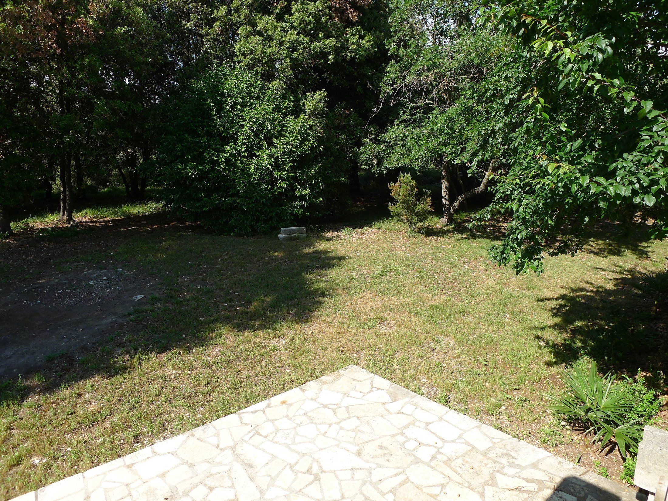 A paved patio area with a stone pattern, surrounded by grass and trees.