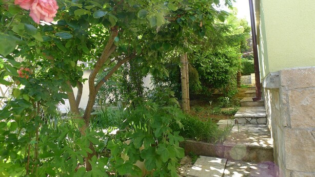 A stone staircase leading up to a building, surrounded by lush greenery and a pink rose. - Holiday Apartment Near the Beach for 4 Persons With one Bedroom (Medulin)
