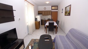 43-inch flat-screen TV with satellite channels, LCD TV