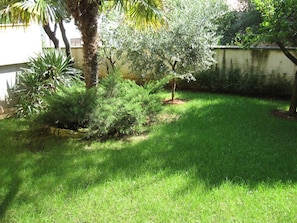 Garden area with lush greenery and a setting.