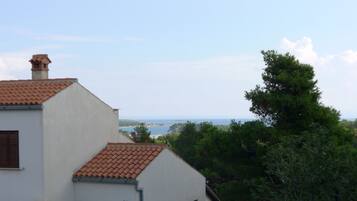 Apartment (3 Bedrooms) | View from room