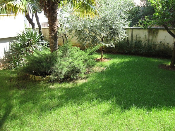 Jardin