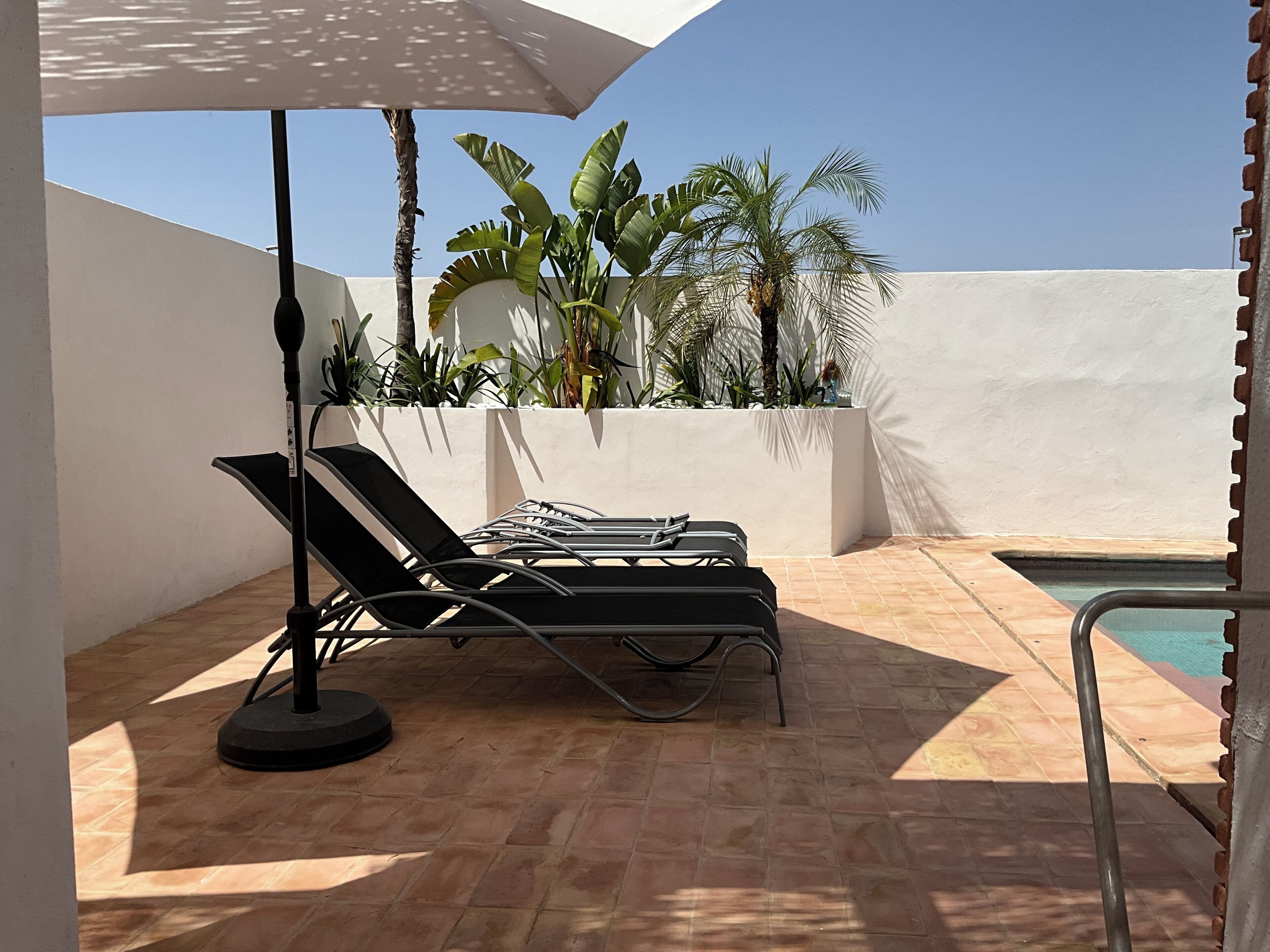 Zona de piscina con dos sillas reclinables y una sombrilla grande, rodeada de plantas en macetas y un cielo azul despejado.