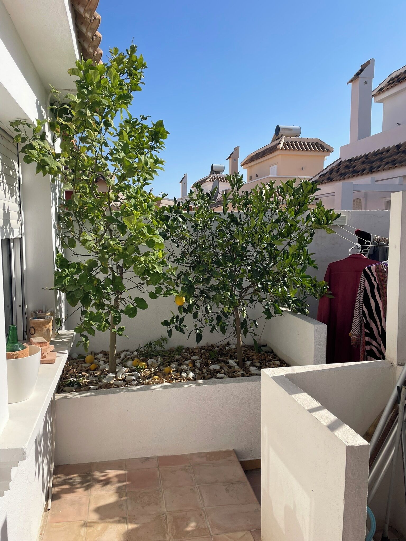 A small courtyard with a tree, a tiled floor, and a white wall.