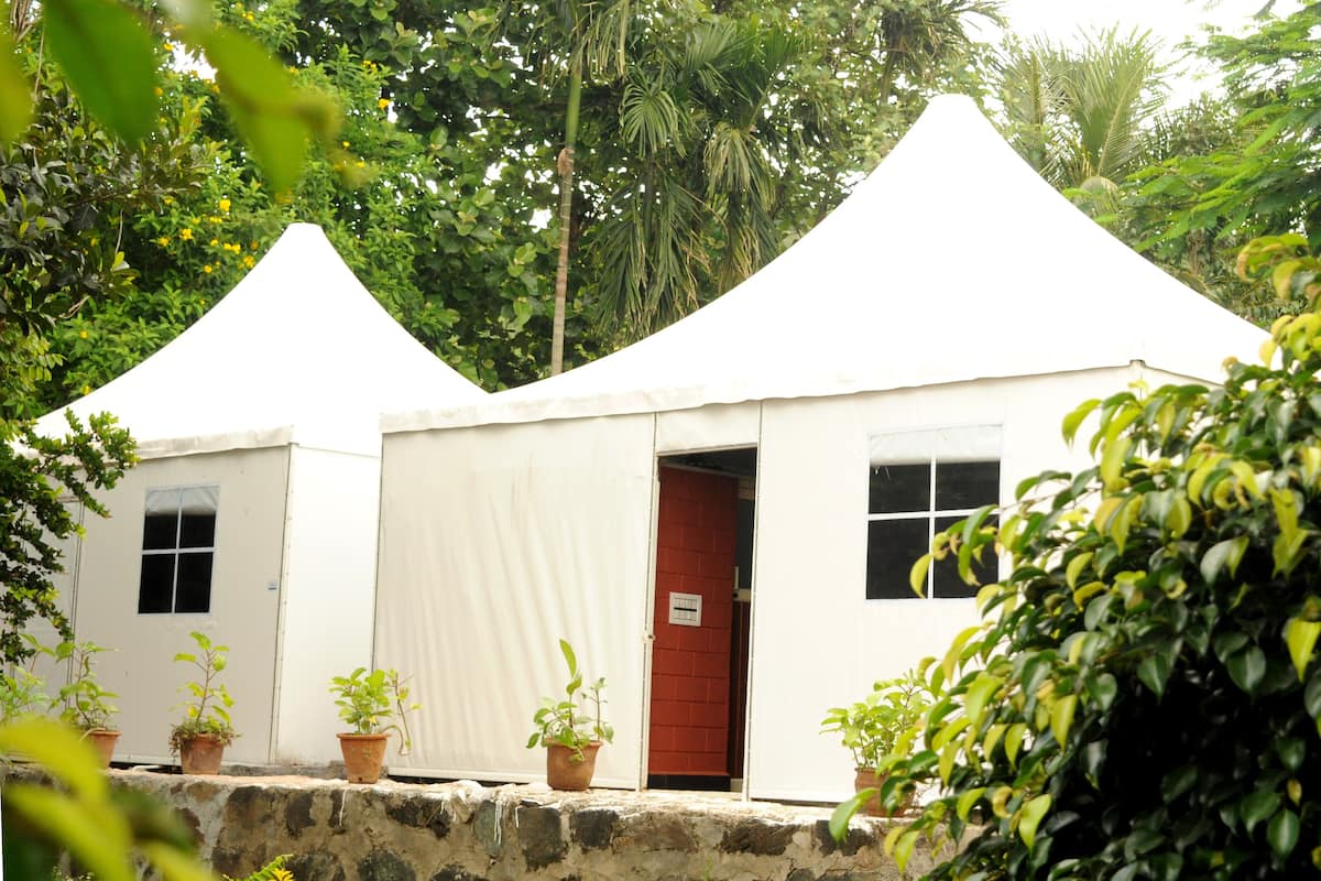Lều Royal, quang cảnh hồ bơi | Trang trí khác biệt, trang bị nội thất với thiết kế riêng biệt