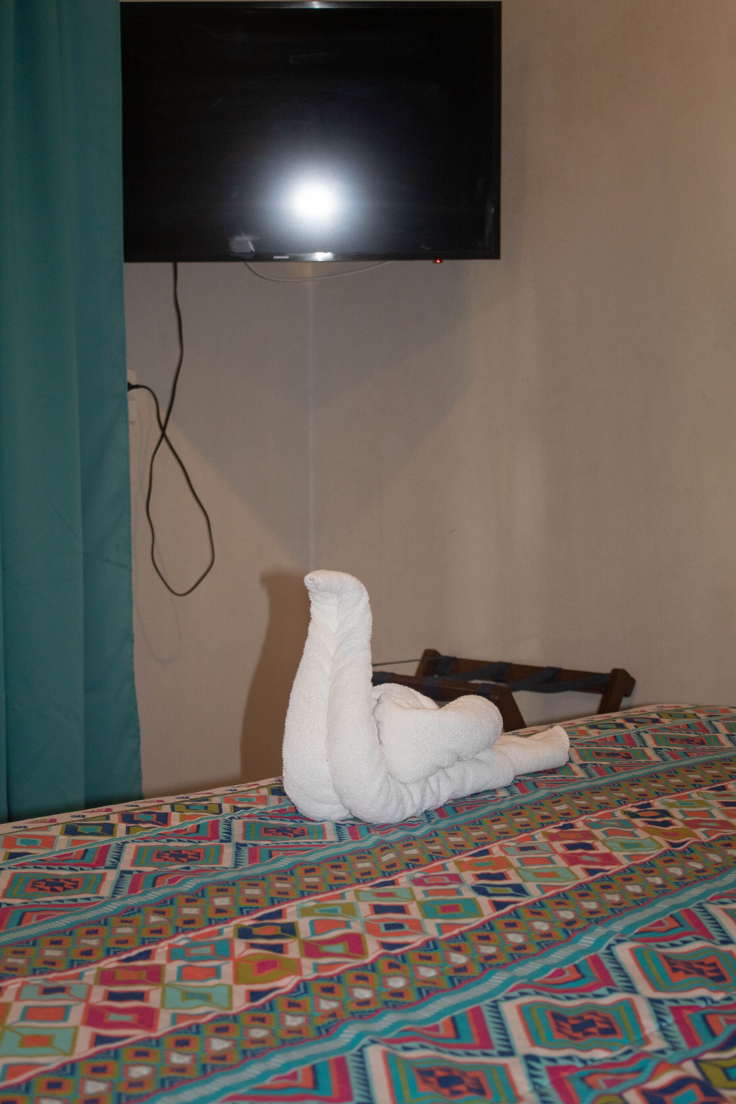 superior room, pool view | television