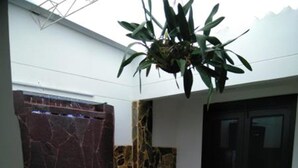 A modern interior with a stone wall, a potted plant, and a door. - Casa Grande Exclusiva Zona Norte (Armenia)