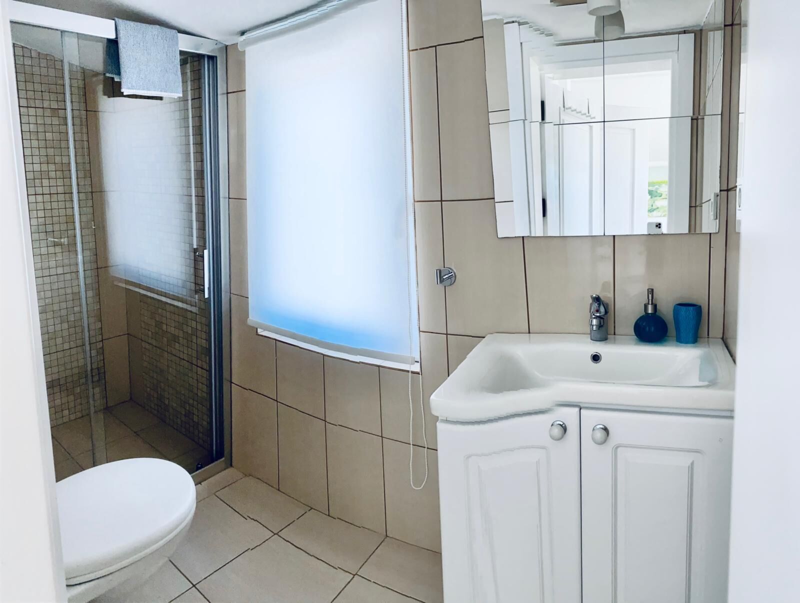 panoramic room | bathroom | shower, rainfall showerhead, hair dryer