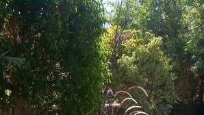 A garden with various plants and a pathway. - Villa White (Datça)