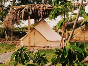 Comfort Tent, 1 Queen Bed, Garden View | Garden view - El Zoo Hostel & Pool (Dibulla)